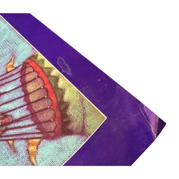 VTG 1987 The Great Forest Park Hot Air Balloon Race Poster Pets For People READ - Picture 6 of 8